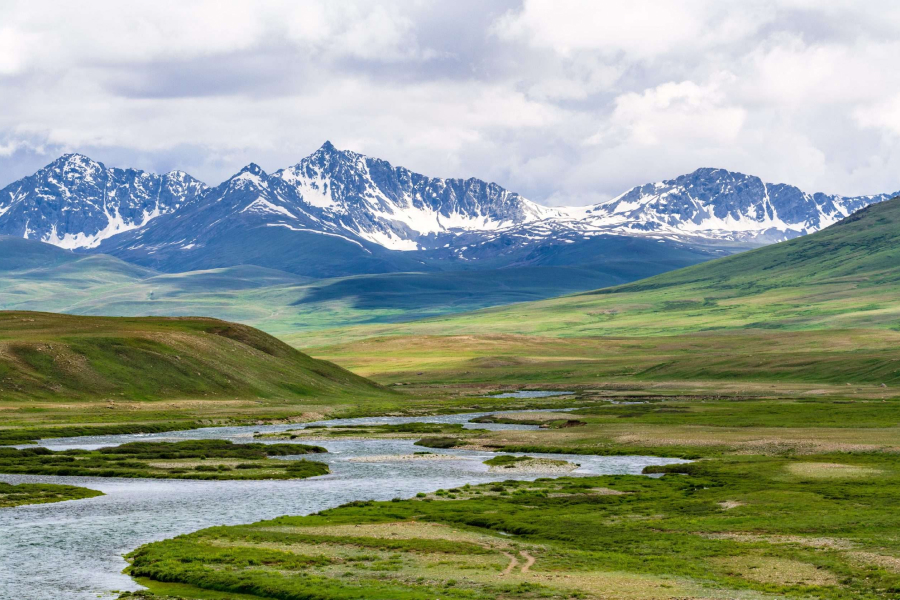 Tourist attraction and activities of deosai national park