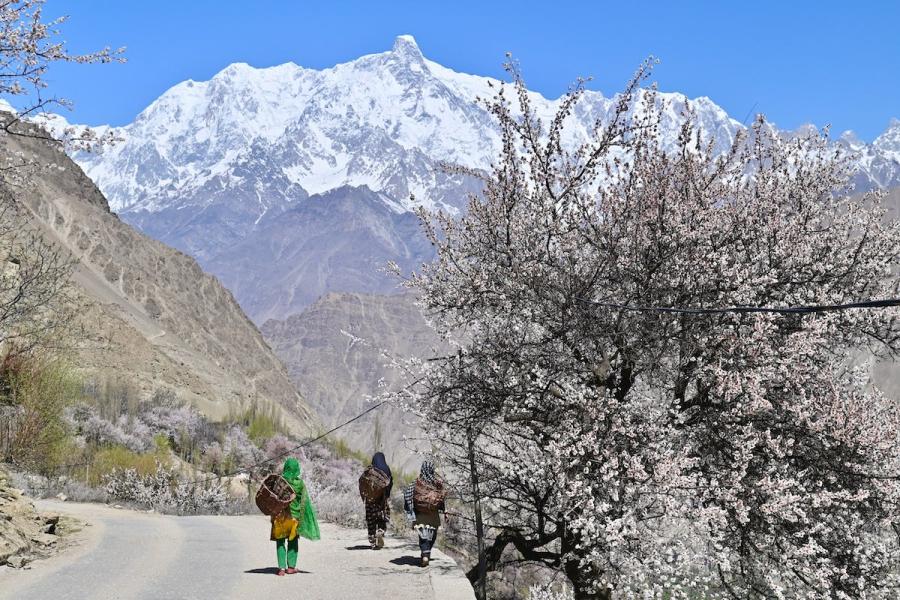 Pakistan land