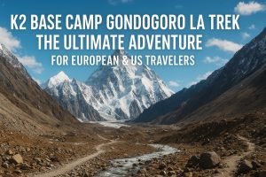 K2 base camp Gondogoro La Trek
