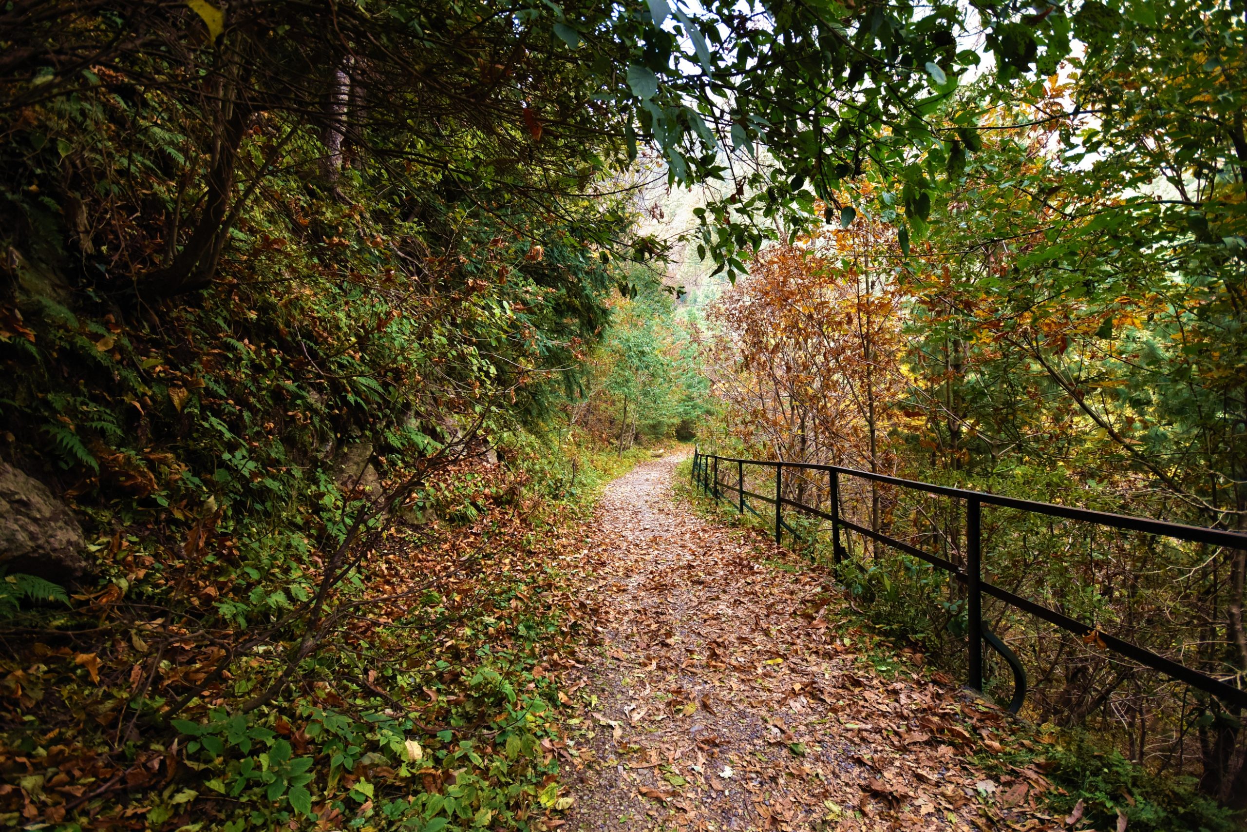 Best Hiking Trails in Pakistan